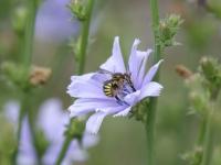 View photo in a new window