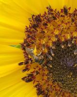 View photo in a new window