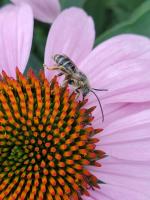 View photo in a new window