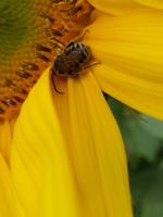 View photo in a new window