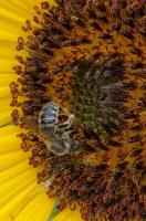 View photo in a new window