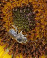 View photo in a new window