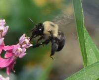 View photo in a new window