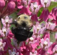 View photo in a new window