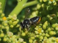 View photo in a new window