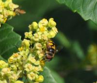 View photo in a new window