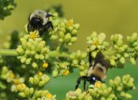 View photo in a new window