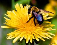 View photo in a new window