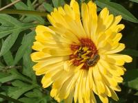 View photo in a new window