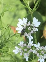 View photo in a new window