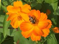 View photo in a new window