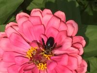 View photo in a new window