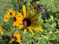 View photo in a new window