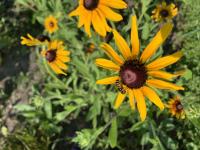 View photo in a new window