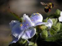 View photo in a new window