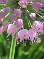 View photo in a new window