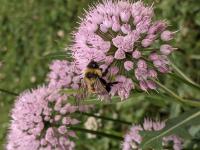 View photo in a new window