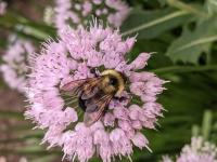 View photo in a new window