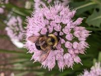 View photo in a new window