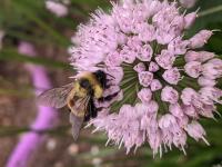 View photo in a new window