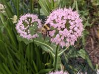 View photo in a new window