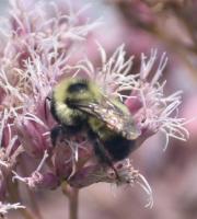 View photo in a new window