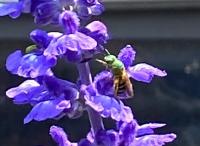 View photo in a new window