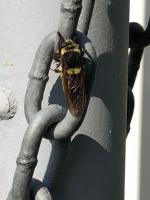 View photo in a new window