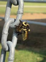 View photo in a new window