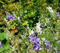 View photo in a new window