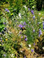 View photo in a new window