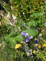 View photo in a new window