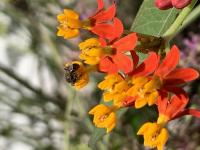 View photo in a new window