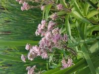 View photo in a new window