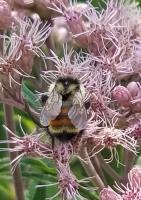 View photo in a new window