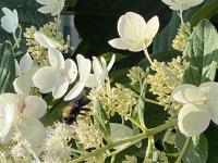 View photo in a new window