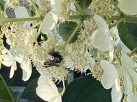 View photo in a new window