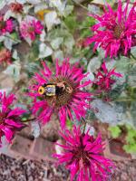 View photo in a new window