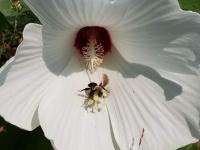 View photo in a new window