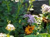 View photo in a new window