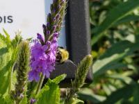 View photo in a new window