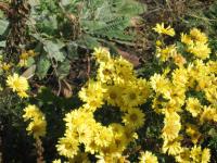 View photo in a new window