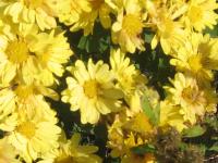 View photo in a new window