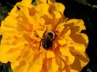 View photo in a new window