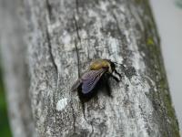 View photo in a new window