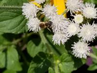 View photo in a new window