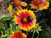 View photo in a new window