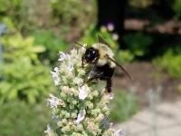 View photo in a new window