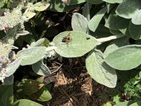 View photo in a new window