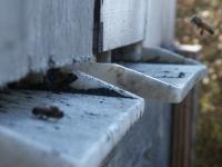 View photo in a new window